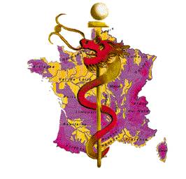 L’avenir de la médecine chinoise en France