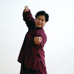 Maître Liu Ya Fei