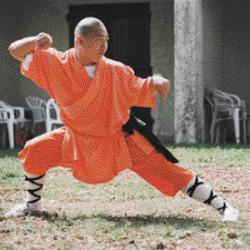 Projo club Asso Kung fu Shaolin